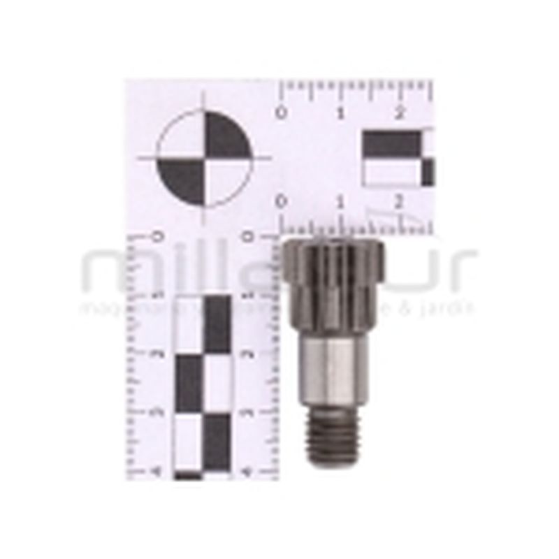 PIÑON SALIDA CAMPANA - motoscamaralweb.com