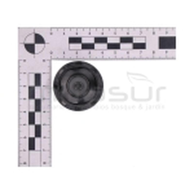 TAPON DE ACEITE - motoscamaralweb.com