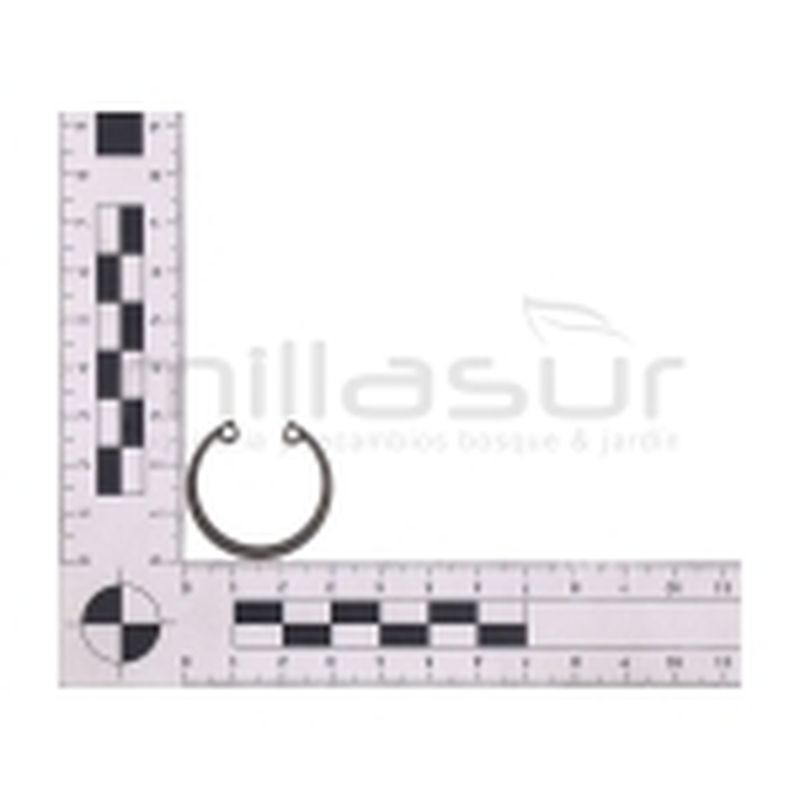 PRESILLA PEQUEÑA CAMPANA D33C - motoscamaralweb.com