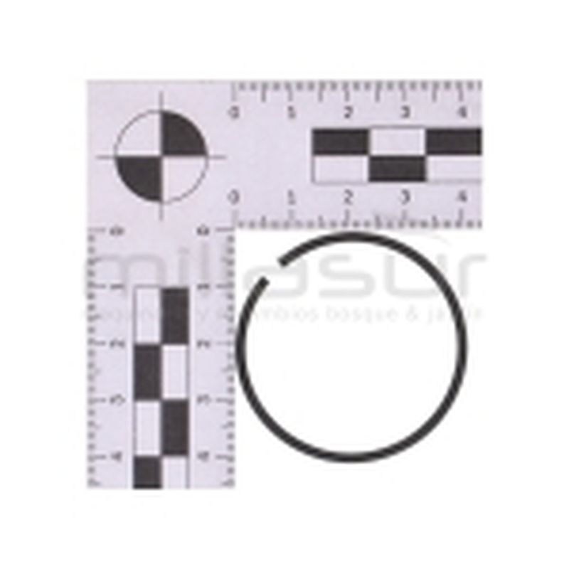 AROS - motoscamaralweb.com