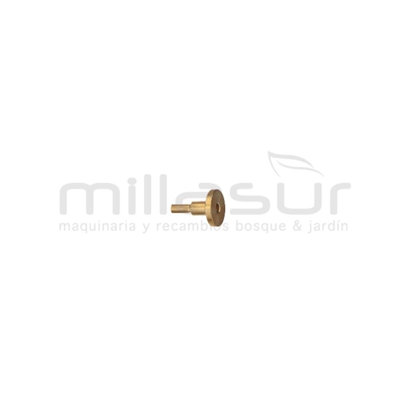 CHICLÉ - motoscamaralweb.com