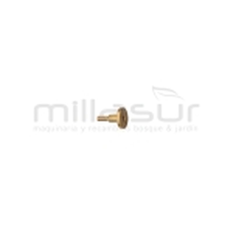 CHICLÉ - motoscamaralweb.com