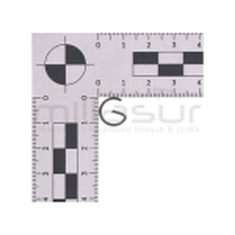 PRESILLA PISTON D43B.AH52 - motoscamaralweb.com