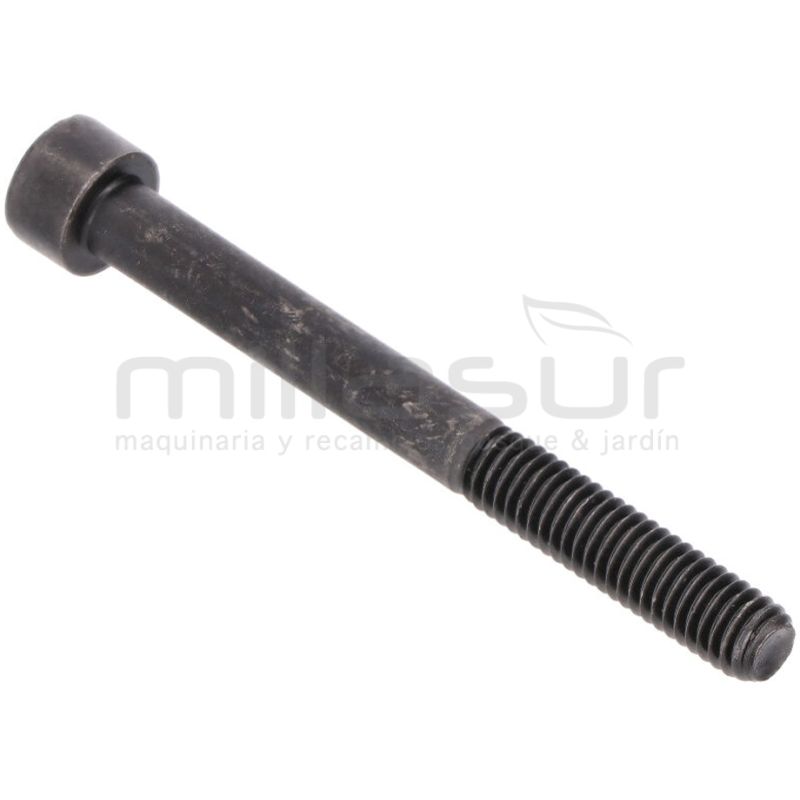 TORNILLO ESCAPE M6X60 D52R (24) - motoscamaralweb.com