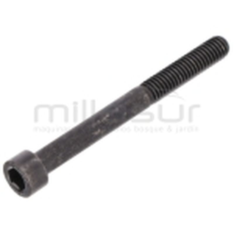TORNILLO ESCAPE M6X60 D52R (24) - motoscamaralweb.com