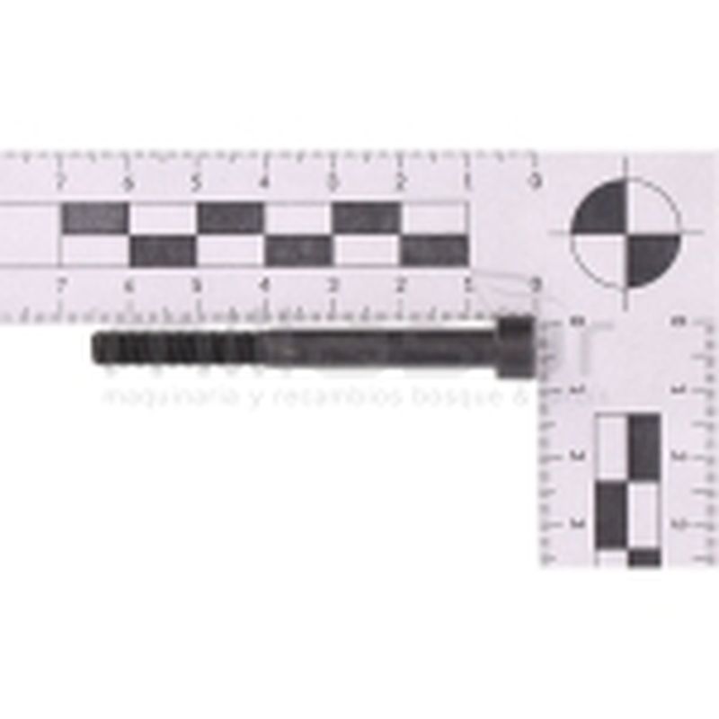 TORNILLO ESCAPE M6X60 D52R (24) - motoscamaralweb.com