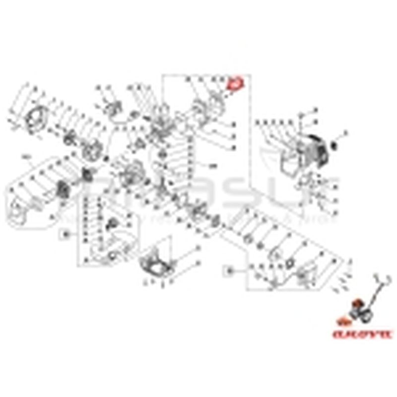 TORNILLO ESCAPE M6X60 D52R (24) - motoscamaralweb.com