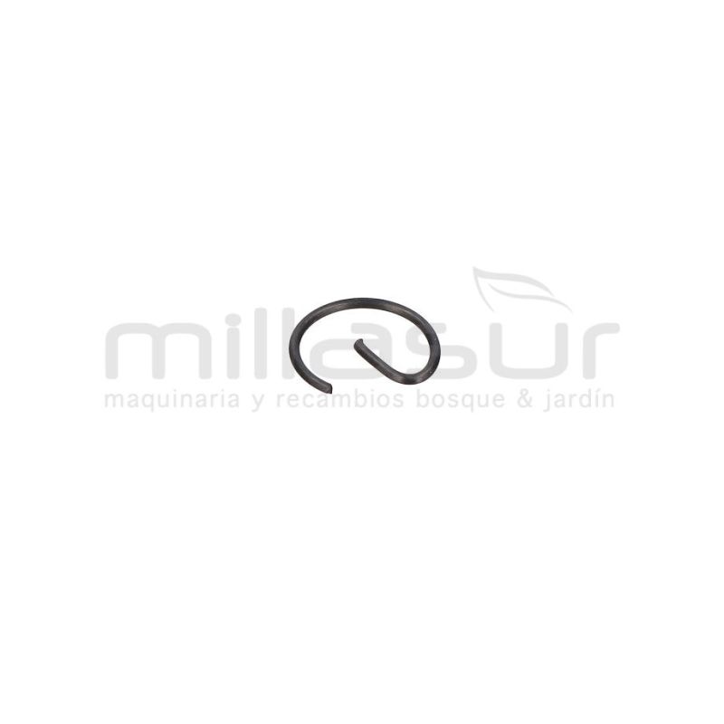 PRESILLA BULON D536 - motoscamaralweb.com