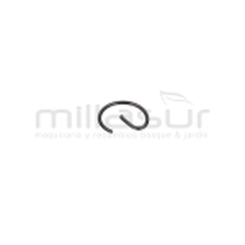 PRESILLA BULON D536 - motoscamaralweb.com