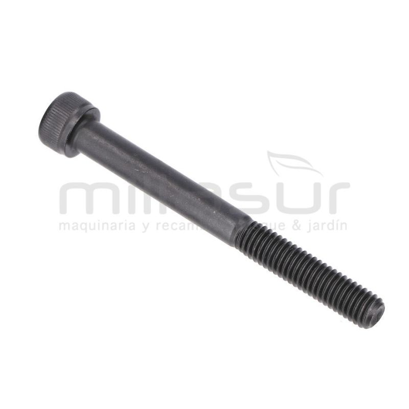 TORNILLO ESCAPE M6X60 D536 - motoscamaralweb.com
