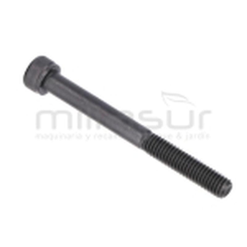 TORNILLO ESCAPE M6X60 D536 - motoscamaralweb.com