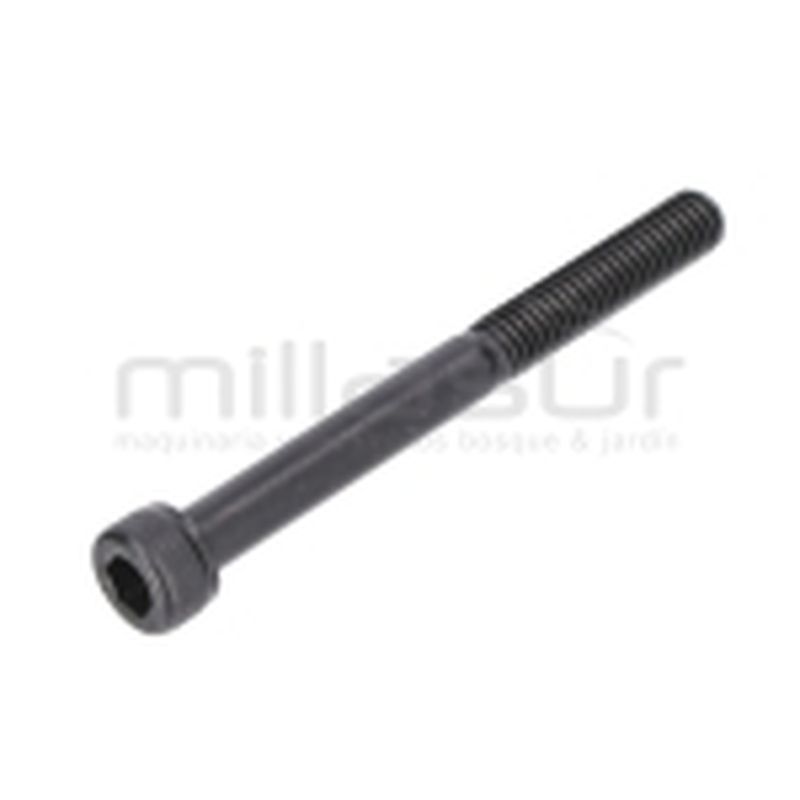 TORNILLO ESCAPE M6X60 D536 - motoscamaralweb.com