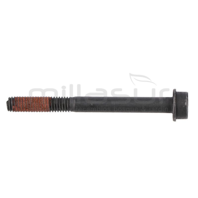 TORNILLO SUJECCION CARBURADOR M5X50 D536.D553M(54) - motoscamaralweb.com