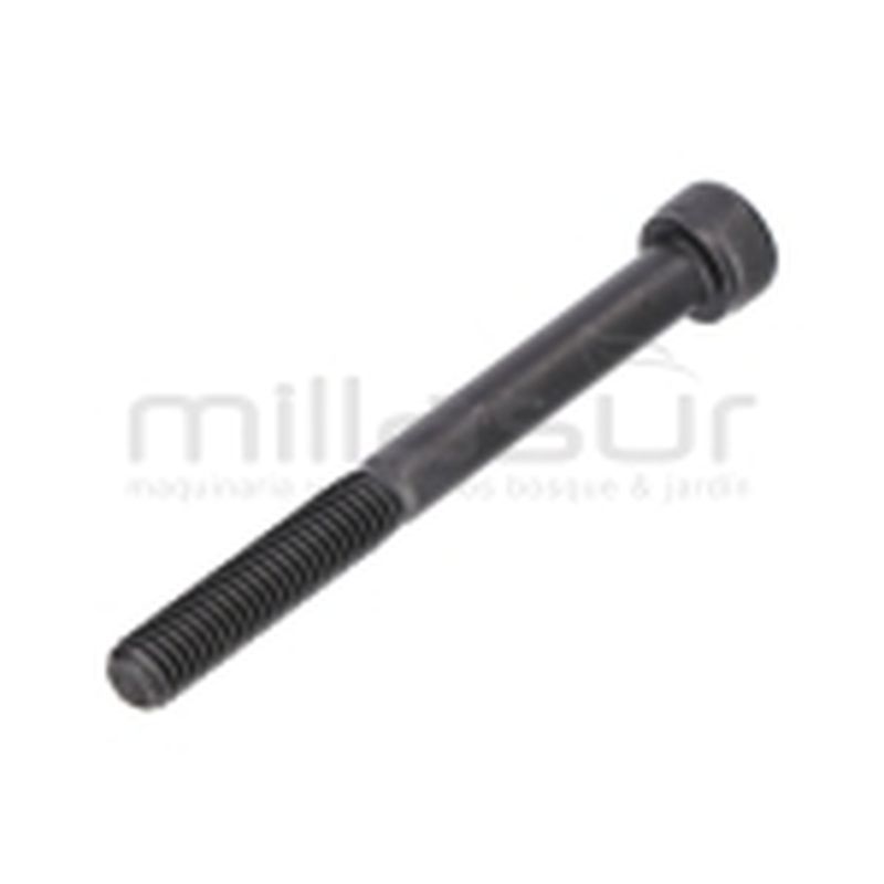 TORNILLO ESCAPE M6X60 D545. D553.D553M(34) - motoscamaralweb.com
