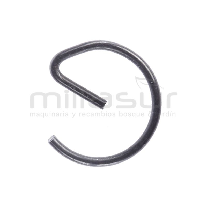 PRESILLA BULON D546HXP (A36) - motoscamaralweb.com