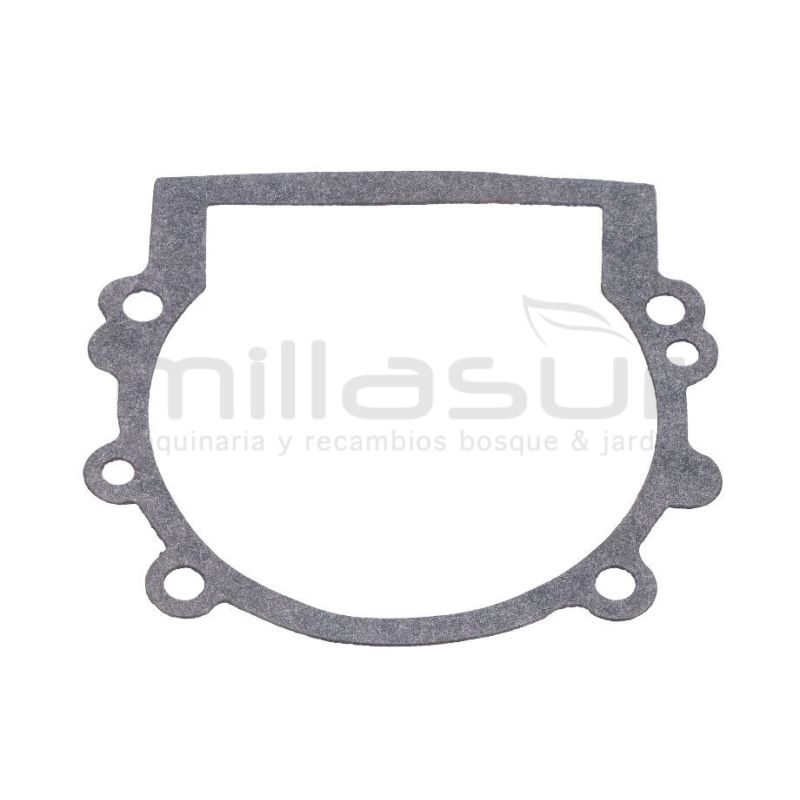 JUNTA CARTER D63 - motoscamaralweb.com