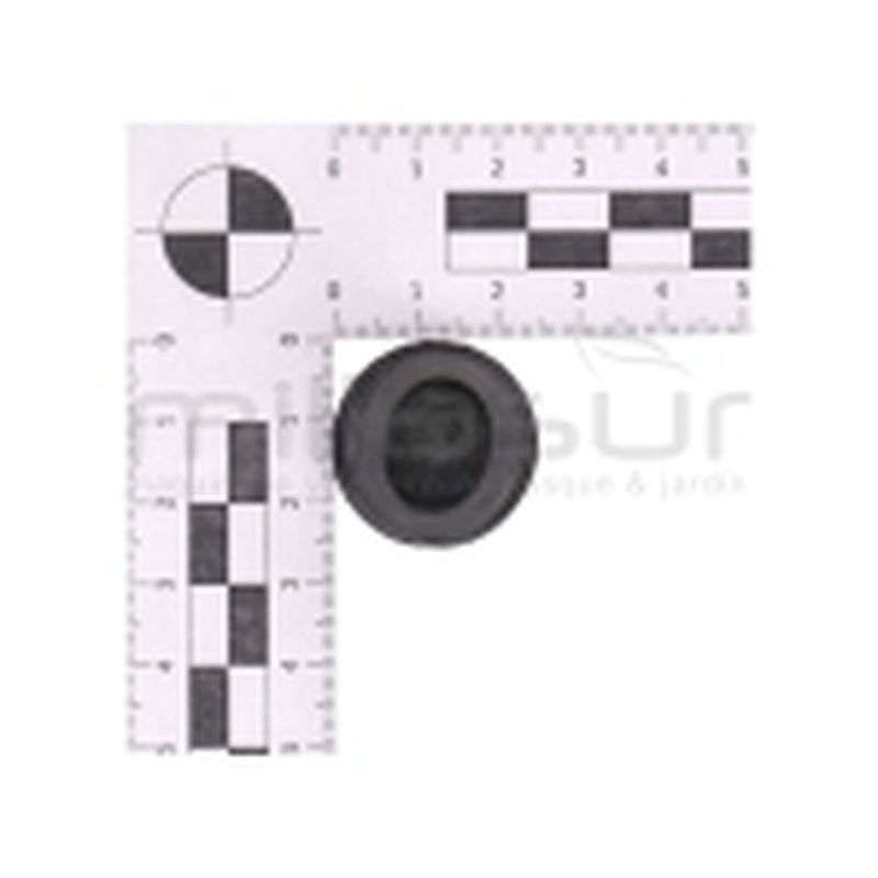 TAPON EJE RUEDA DELANTERA DC361 (3) - motoscamaralweb.com