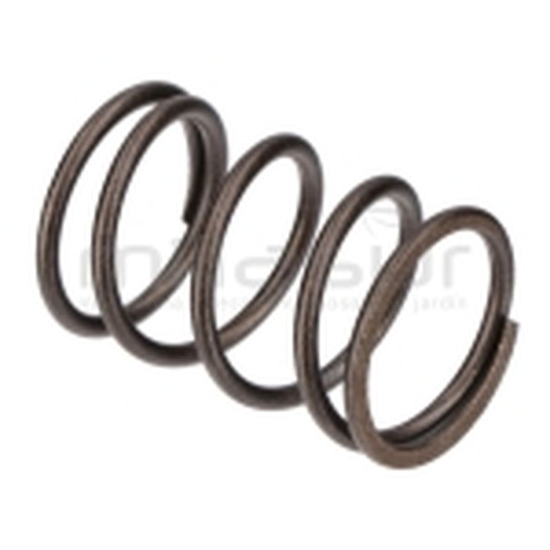 MUELLE VALVULAS LC1P70FC. DC361 (E4) - motoscamaralweb.com