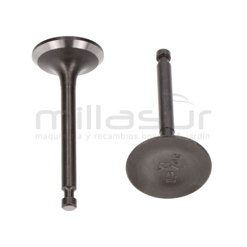 JUEGO VALVULAS LC1P70FC. DC361 (E6) - motoscamaralweb.com