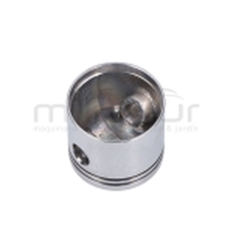 PISTON - motoscamaralweb.com