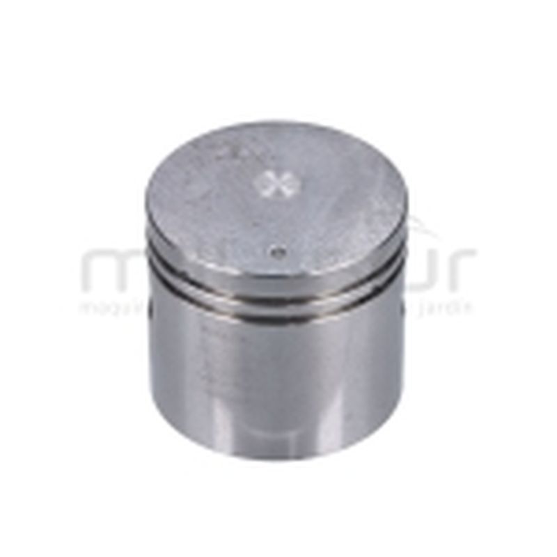 PISTON - motoscamaralweb.com
