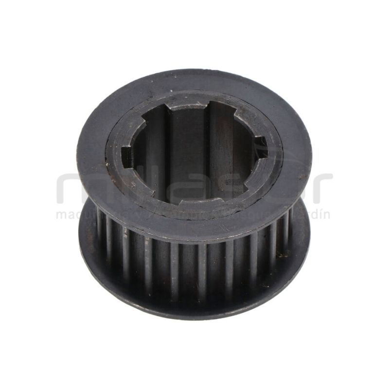 POLEA PENTADA INTERMEDIA (24) - motoscamaralweb.com