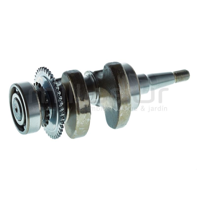 CIGÜEÑAL GI2000 (B35) - motoscamaralweb.com