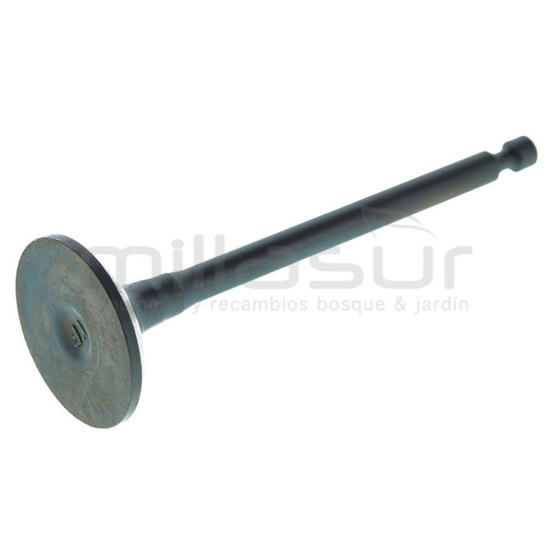 VALVULA ESCAPE GI2000 (B53) - motoscamaralweb.com