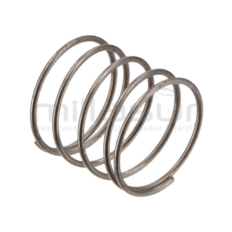 MUELLE VALVULA - motoscamaralweb.com