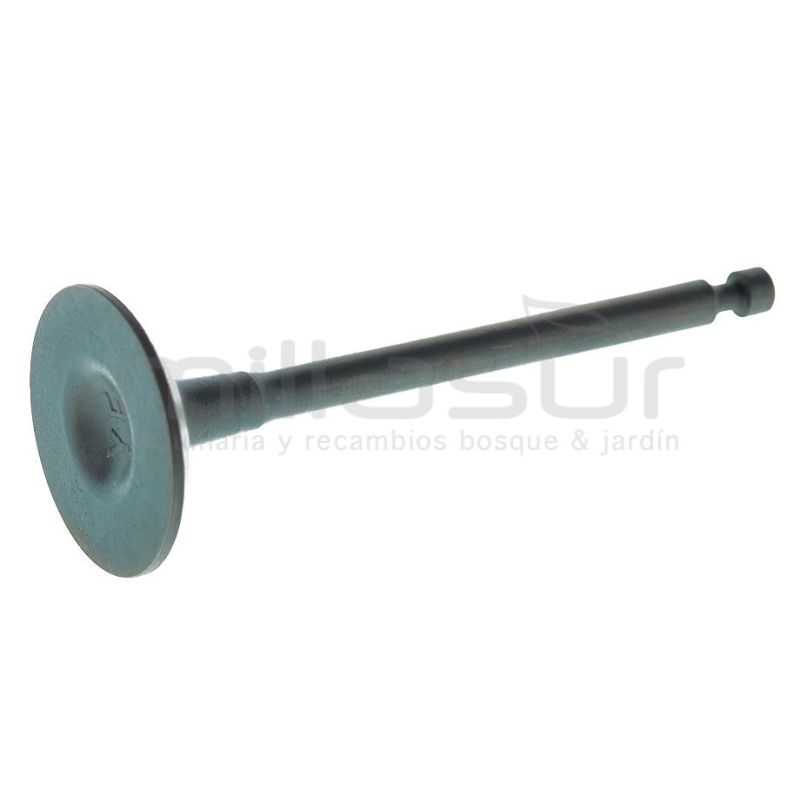 VALVULA ADMISION GI2000 (B52) - motoscamaralweb.com