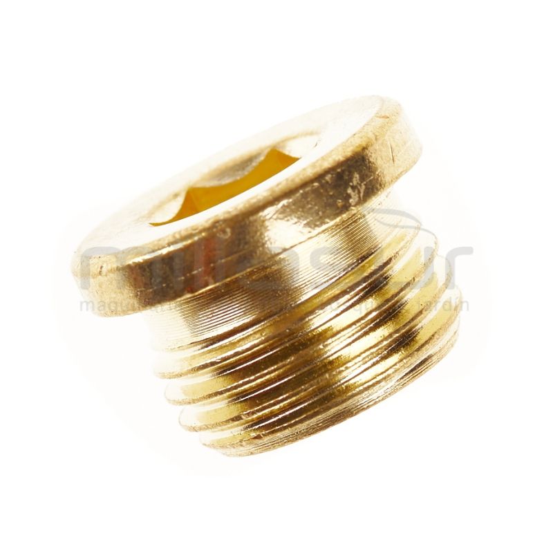 TAPON VALVULA H1500. H1650 (37) - motoscamaralweb.com