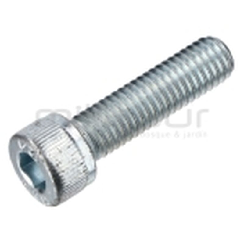TORNILLO TAPA GUIA PISTONES M8X30 H1950 (40) - motoscamaralweb.com