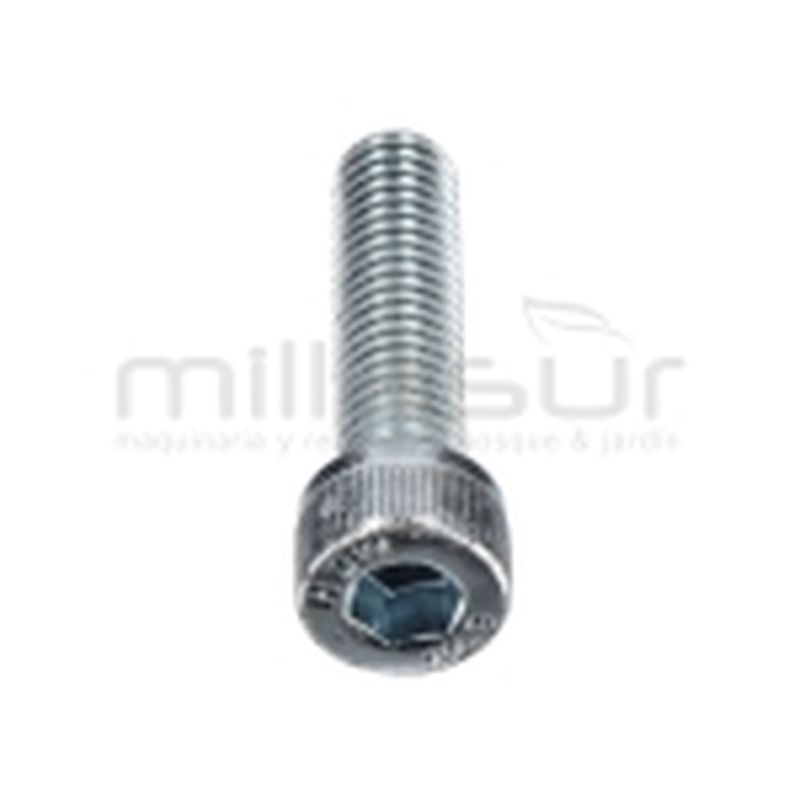 TORNILLO TAPA GUIA PISTONES M8X30 H1950 (40) - motoscamaralweb.com