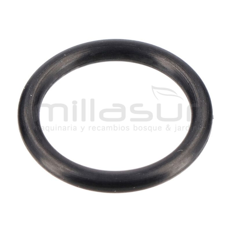 JUNTA TORICA RACOR SALIDA 13.2X2 H1950 (36) - motoscamaralweb.com