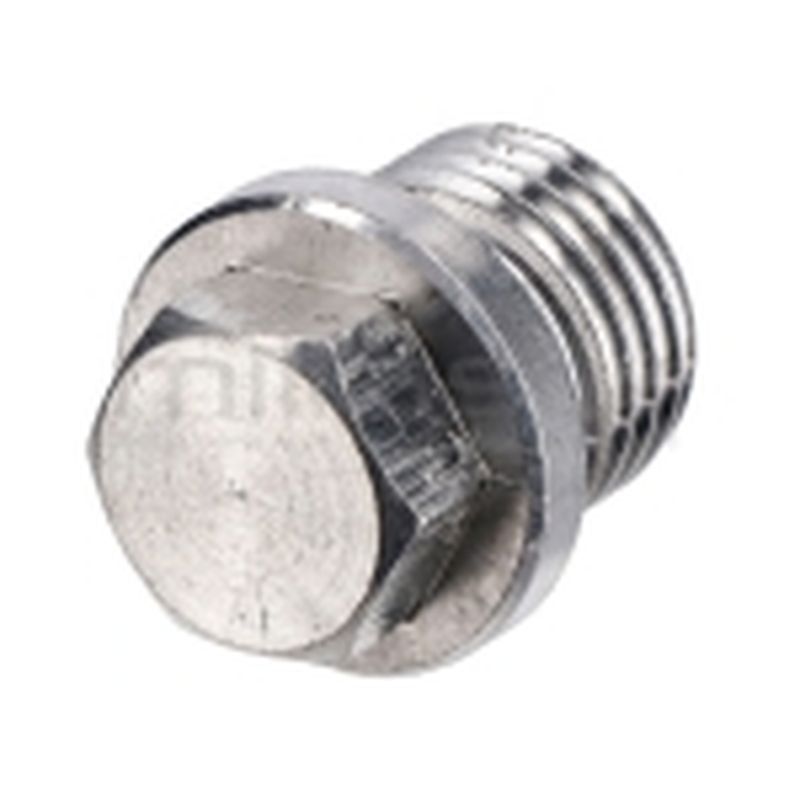 TAPON VALVULA H1950 (23) - motoscamaralweb.com