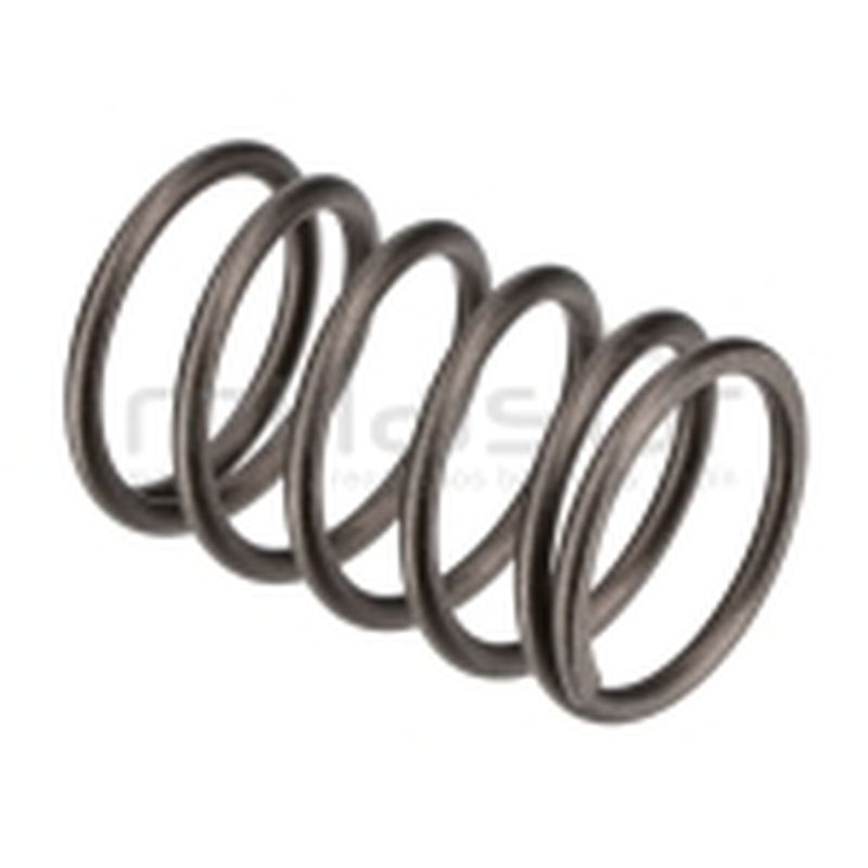 MUELLE PISTON H1950 (17) - motoscamaralweb.com