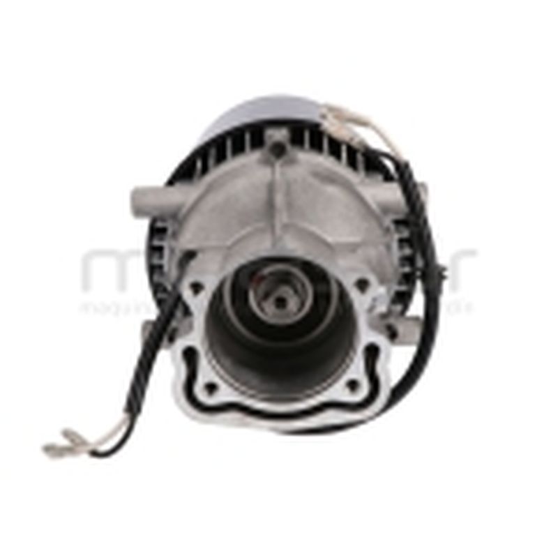 MOTOR H1950 (1) - motoscamaralweb.com