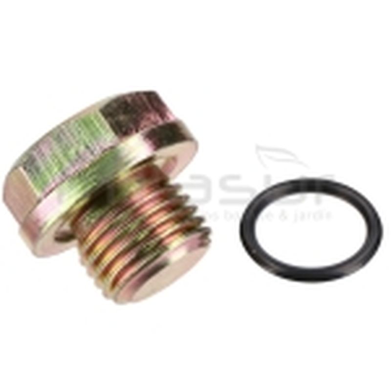 TAPON VACIADO ACEITE H2200 (27+28) - motoscamaralweb.com