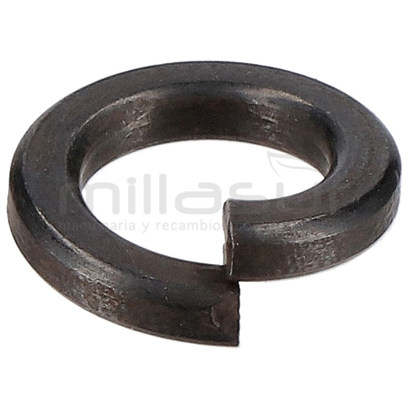 ARANDELA DE PRESION Ø6 H1950 (7) - motoscamaralweb.com