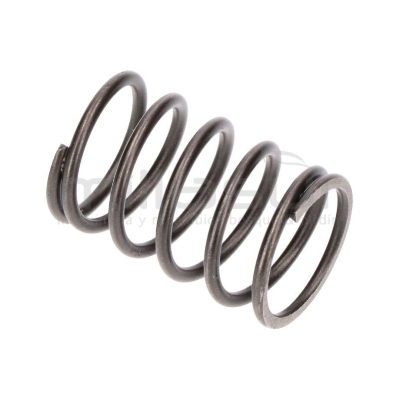 MUELLE PISTON HG3000 (B10) - motoscamaralweb.com