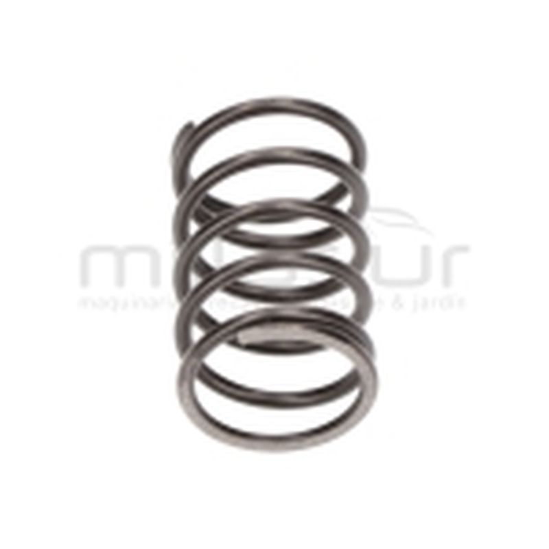 MUELLE PISTON HG3000 (B10) - motoscamaralweb.com