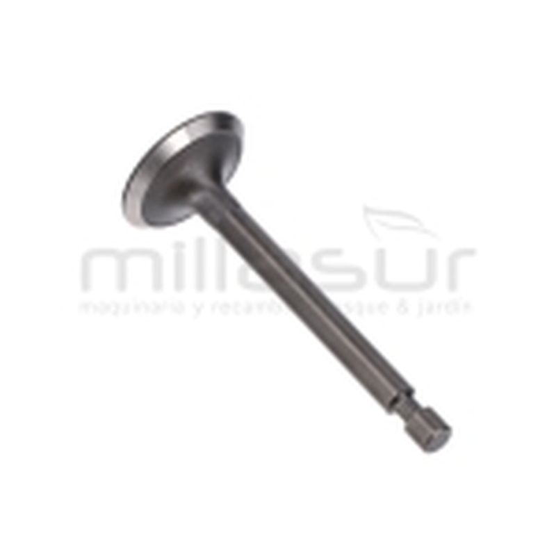 VALVULA ADMISION MA100 (10) - motoscamaralweb.com