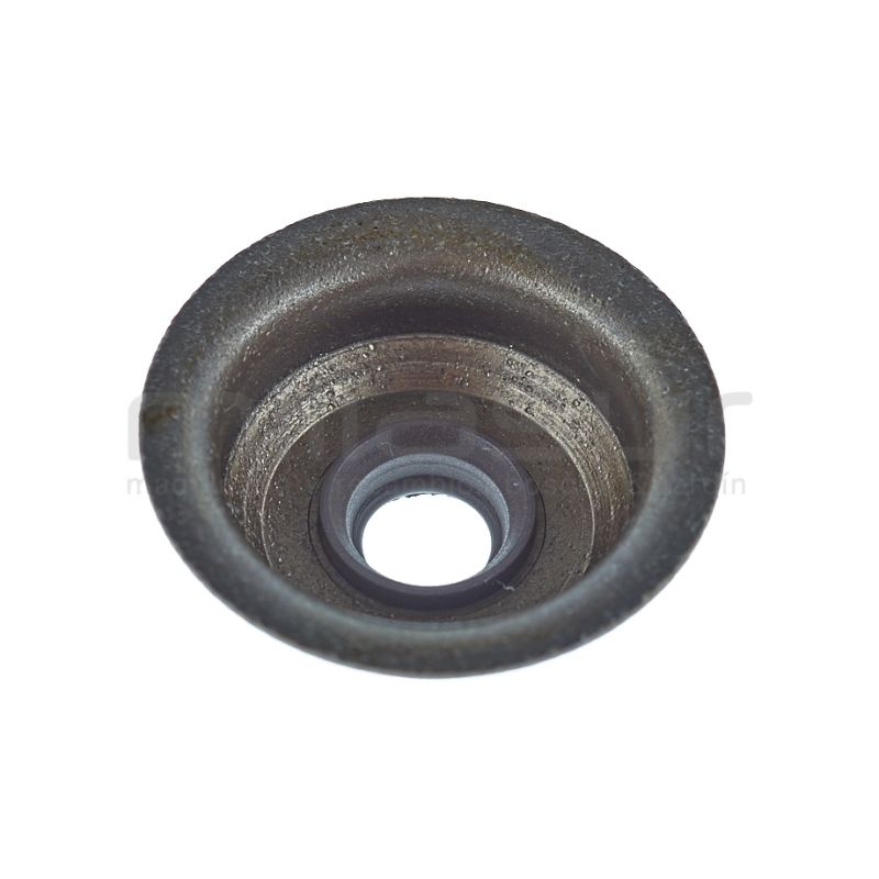 RETEN VALVULA MA100 (12) - motoscamaralweb.com