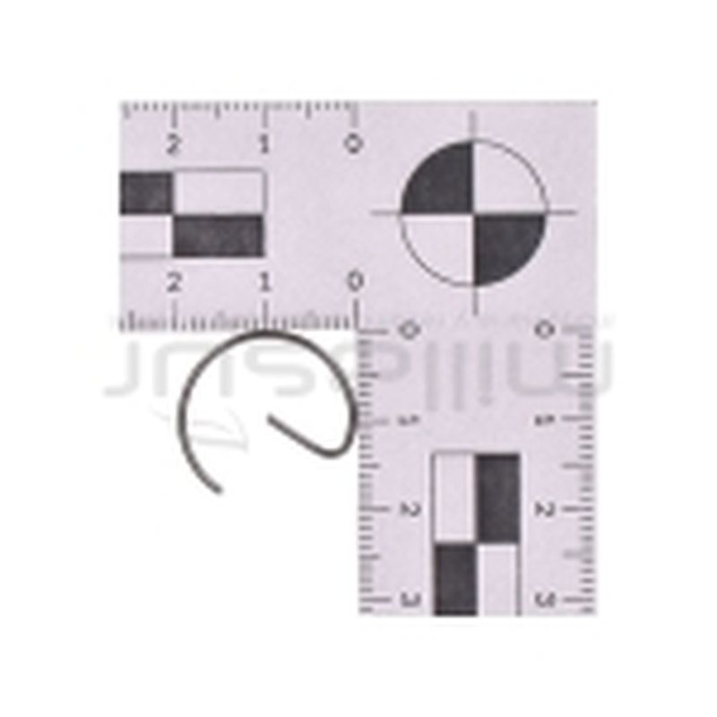 PRESILLA PISTON MA173E (113). CC251T - motoscamaralweb.com