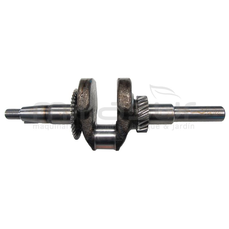 CIGÜEÑAL - motoscamaralweb.com