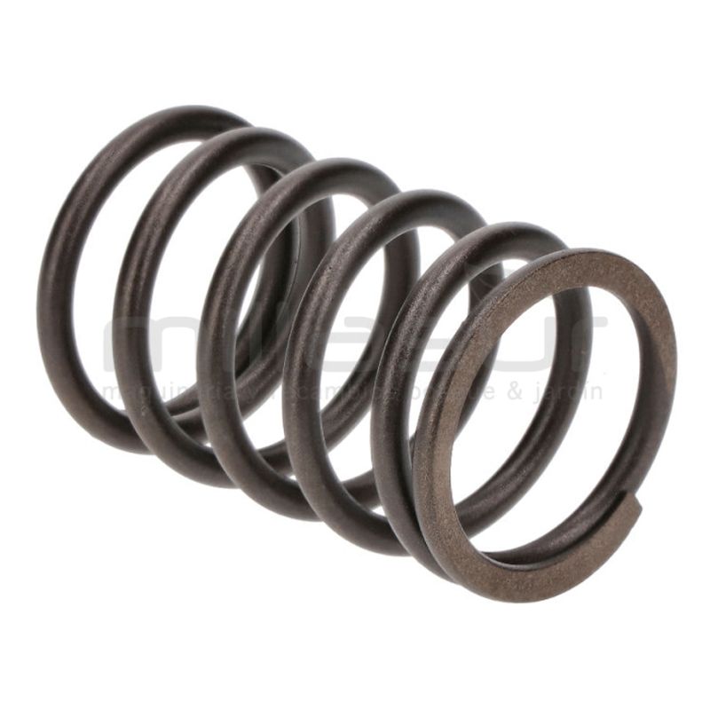 MUELLE VALVULA MA390 (I8) - motoscamaralweb.com