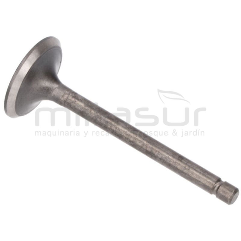 VALVULA DE ESCAPE MA390 (I4) - motoscamaralweb.com
