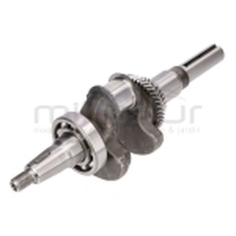 CIGÜEÑAL MA460 (J1) - motoscamaralweb.com