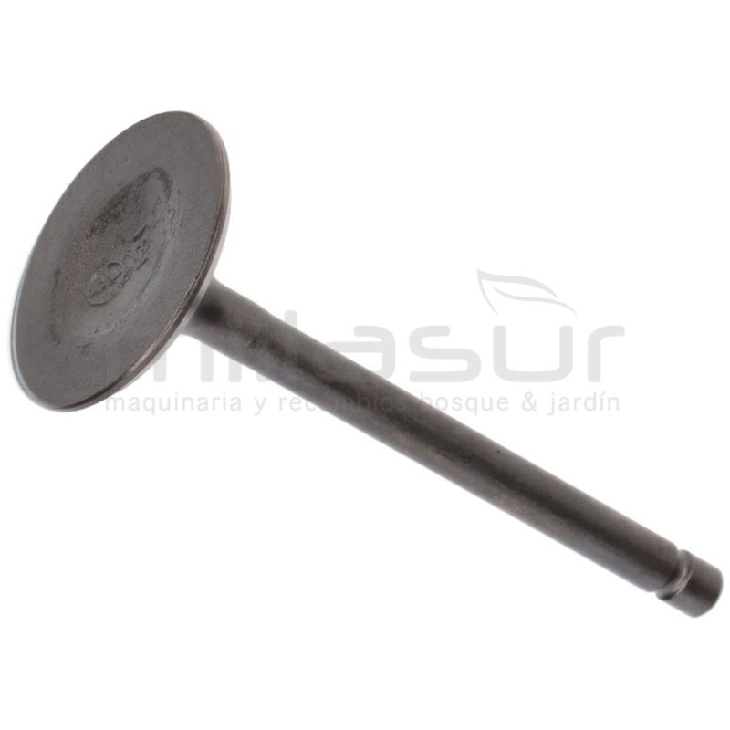 VALVULA ADMISION MA460 (I5) - motoscamaralweb.com