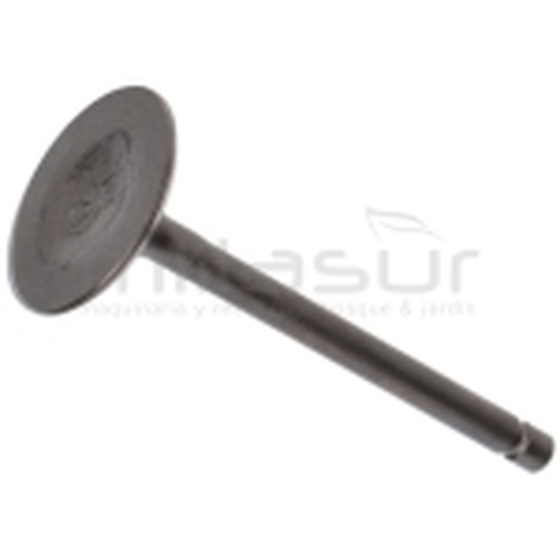 VALVULA ADMISION MA460 (I5) - motoscamaralweb.com